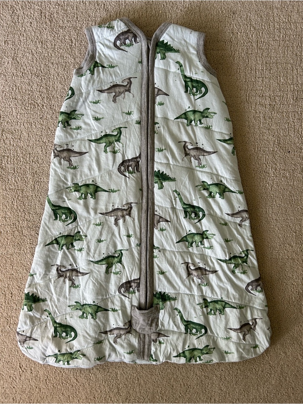 Burt’s Bees organic cotton beekeeper sleep sack 6-12 months dinosaur